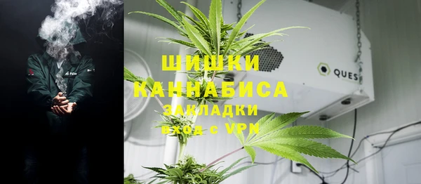 ГАЛЛЮЦИНОГЕННЫЕ ГРИБЫ Нея