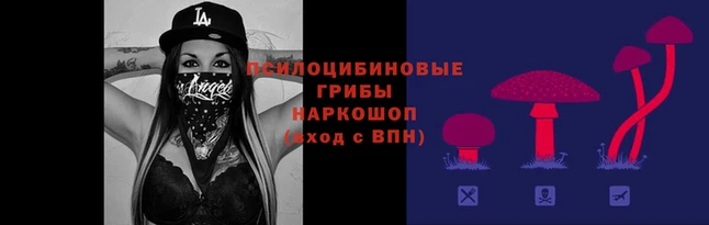 гидропоника Алексин