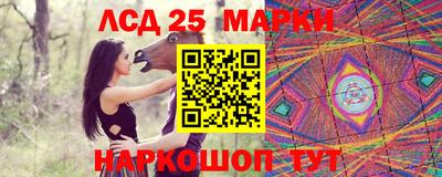 молекула духа Новозыбков