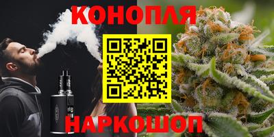 молекула духа Новозыбков