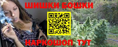 молекула духа Новозыбков