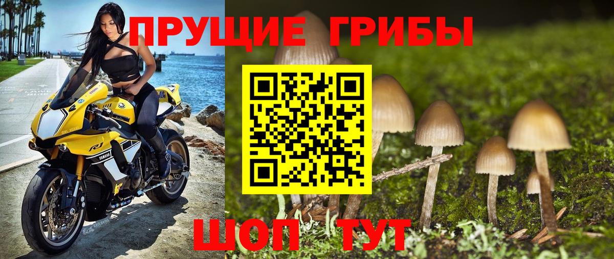 Псилоцибиновые грибы MAGIC MUSHROOMS  Вход с VPN  Вологда 
